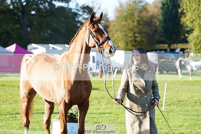 241026-101808-11759 - 010-Julia.Norman-SCOTCH.ON.THE.ROCK'Z