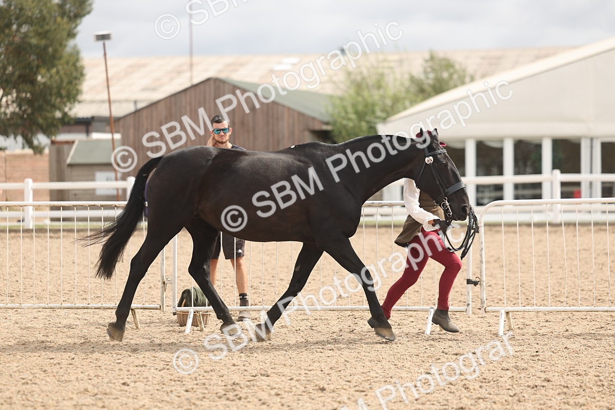 SBM_04921 - Class 20 - IH Veteran