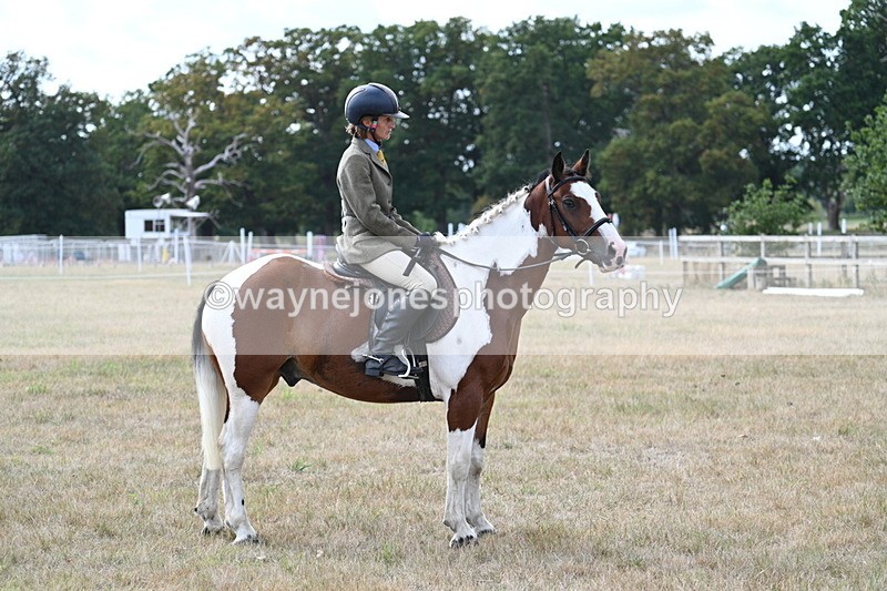 WJ7_7011 - Class 14 Ridden Coloured