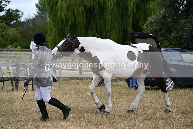 WJ6_8281 - Class 10 Coloured in Hand