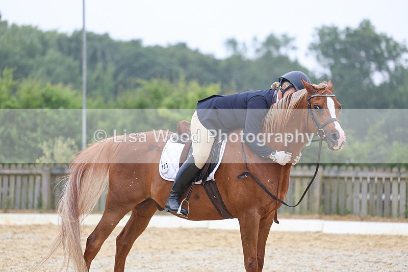 3E7A8295 - Class 2: Intro 3 2024 section B