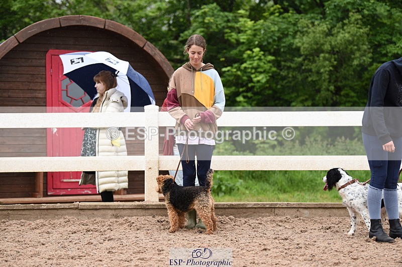 240518A-124836-01209 - Cls 5 Best Purebred