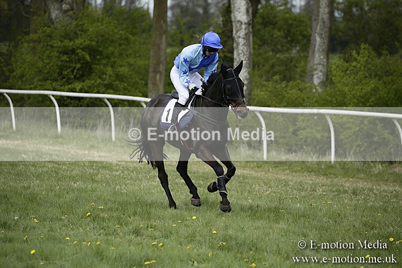 PtP 170417 61 - Old Berks Point-to-Point Lockinge 17/04/17