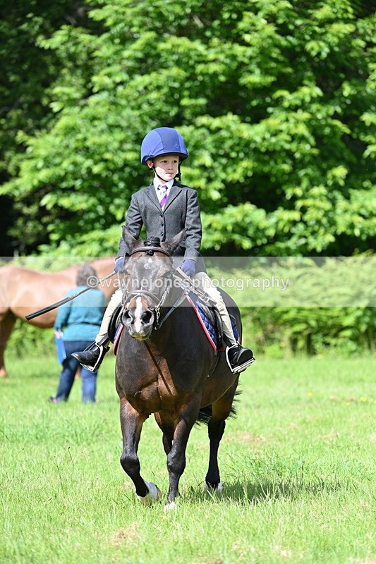 WJ7_1054 - Class 11 Condition & Turnout
