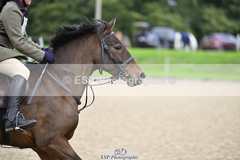 251005A-094801-03099 - Cls 03 GR 60cm