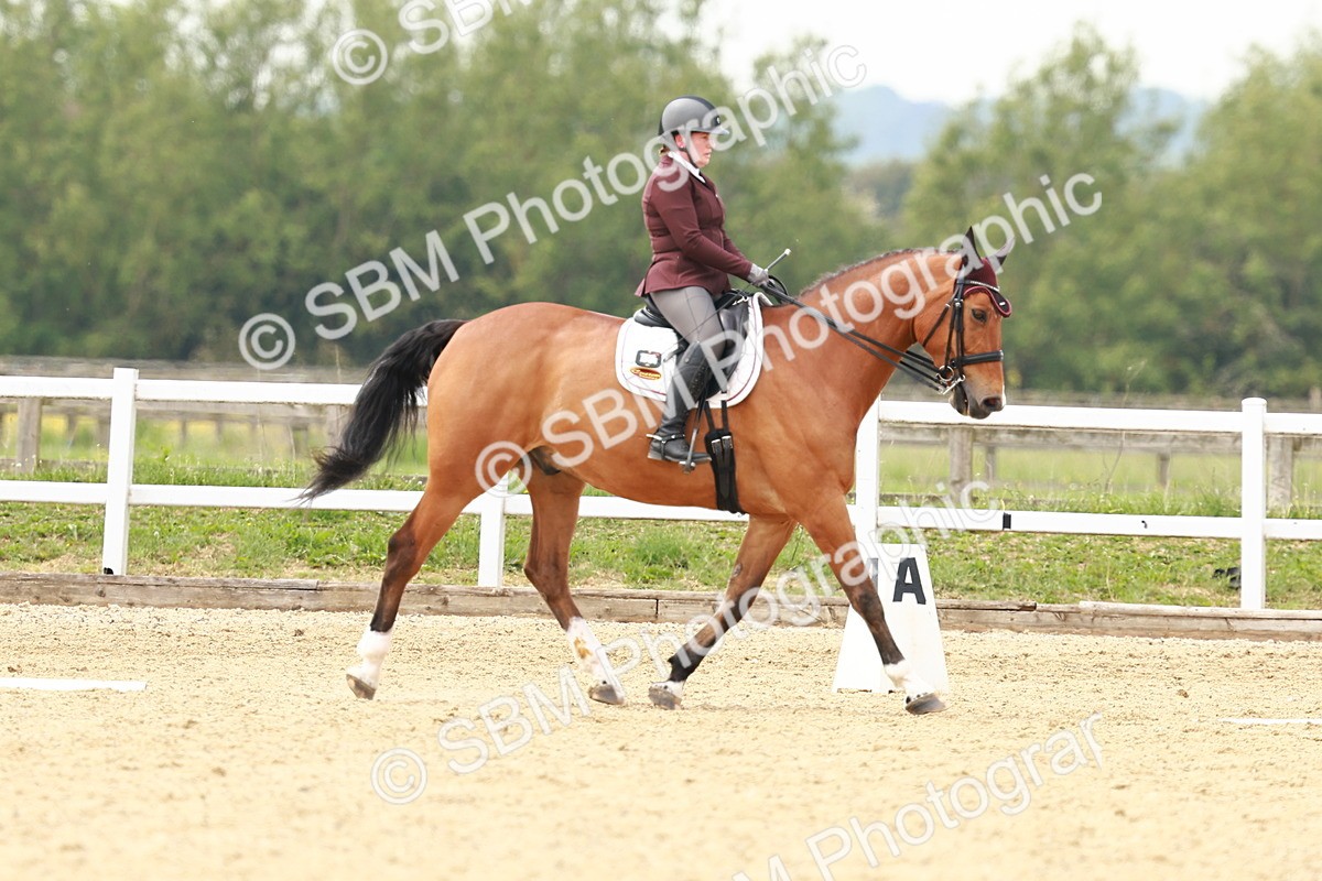 SBM_002797 - Class 12 - Medium 4