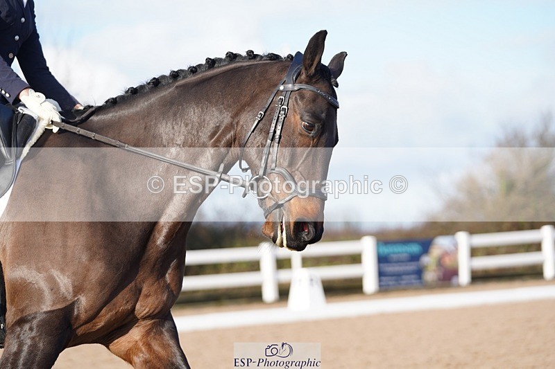 241214-121914-00465 - 113-Millie.Rogers-Rehy.Hulabaloo