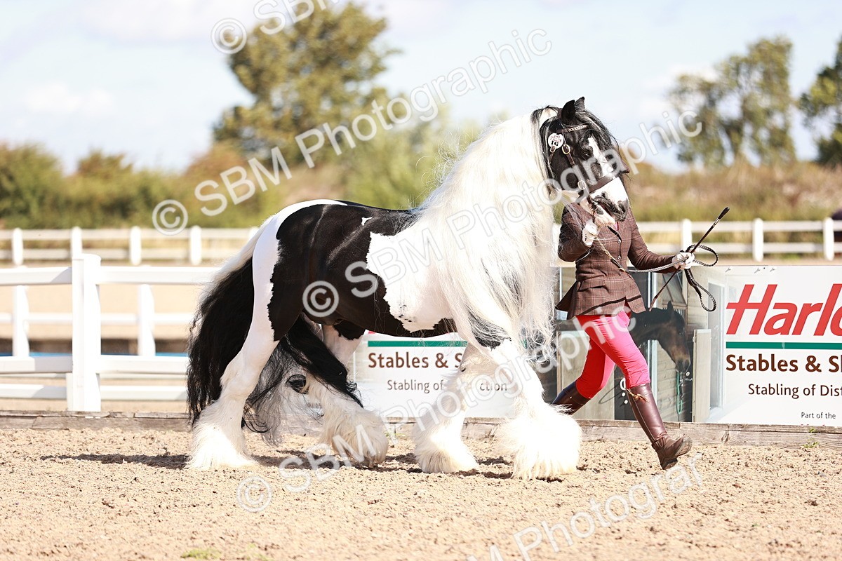 SBM_12571 - Class 404 - IH Traditional - Native Cob