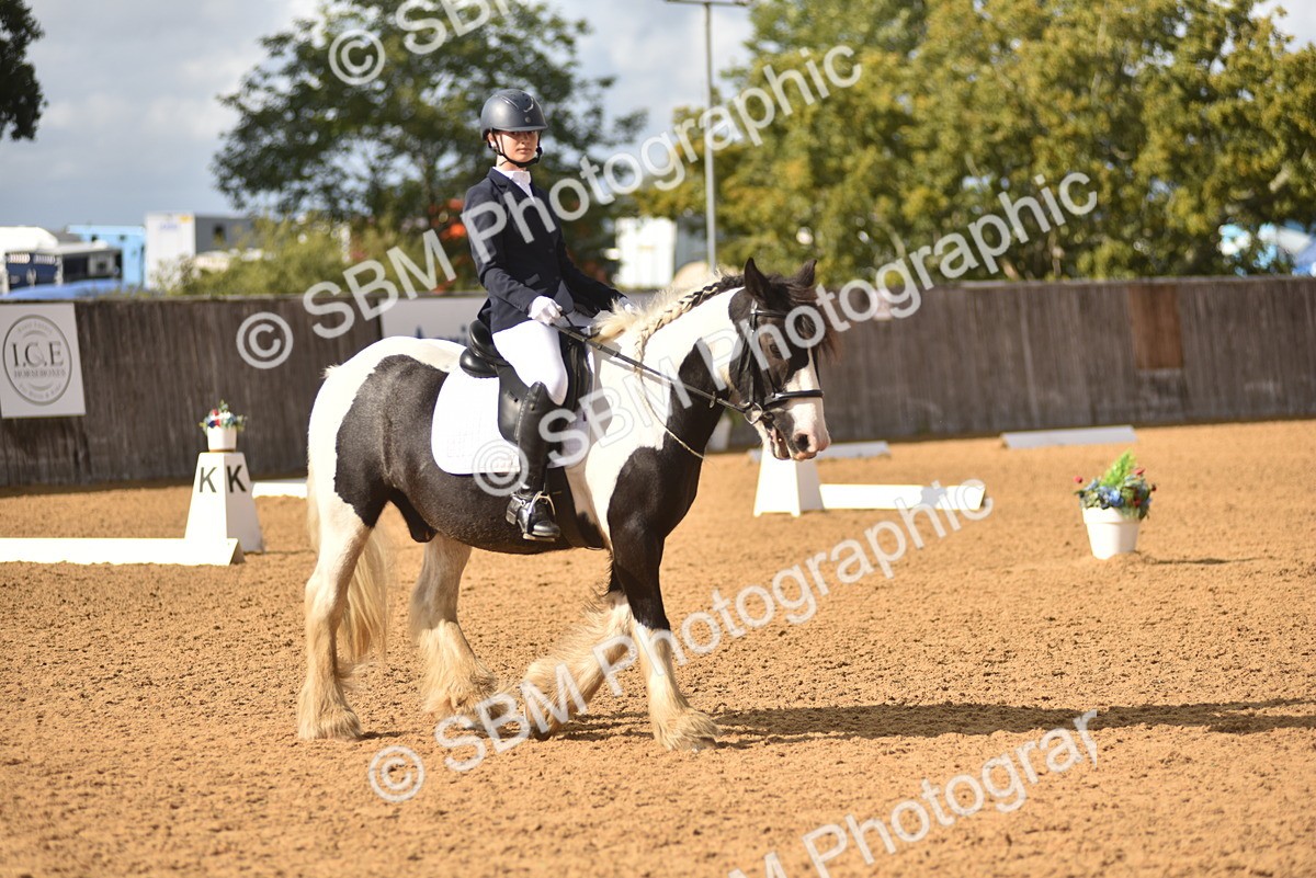 SBM_48846 - D22 - Junior Championship Intro 3