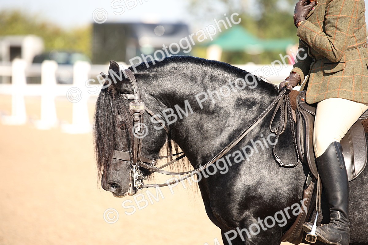 SBM_00725 - Class 14 Ridden M&M Wildcard