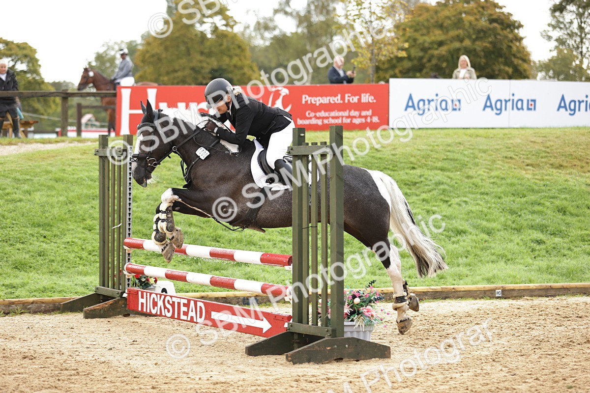 SBM_32991 - J38 - Senior Horse & Pony 80cm Championship