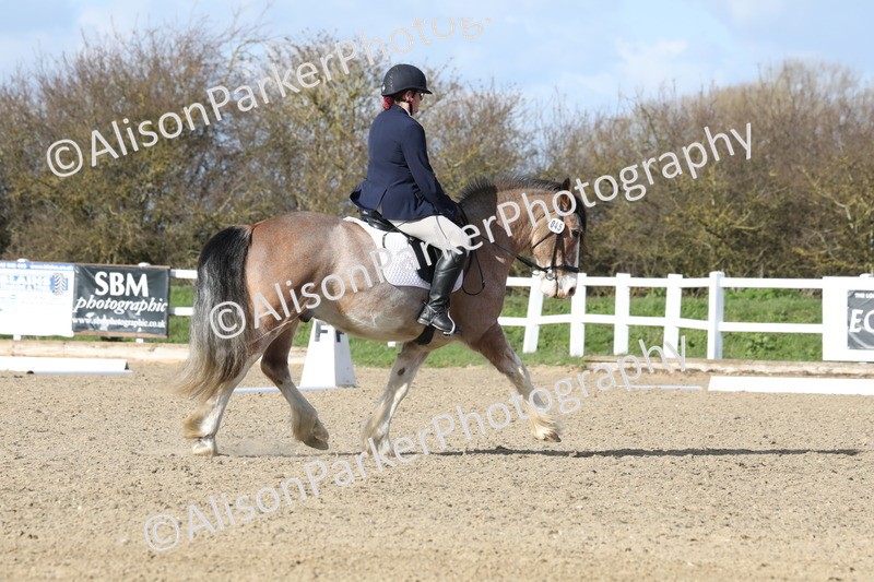 20260314-4998 - CT6 - Elementary 1