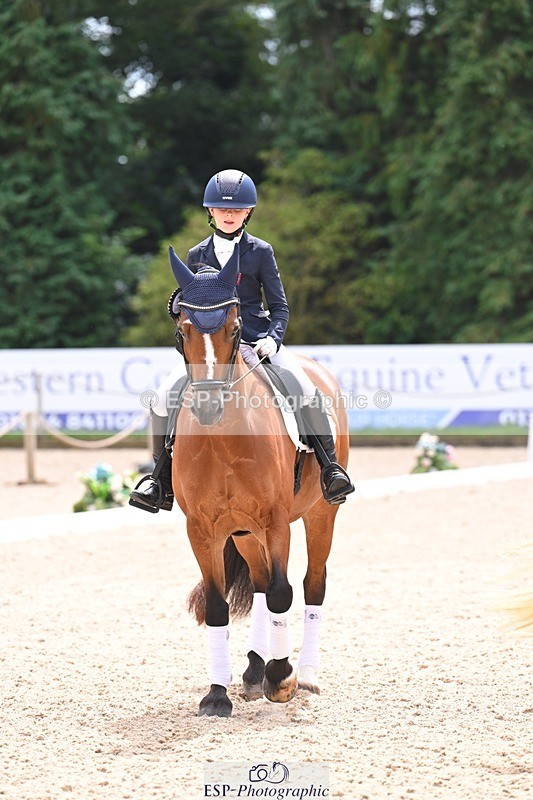 240809-131618-01031 - Preliminary Silver