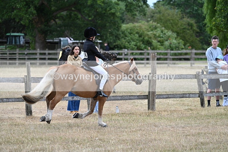 WJ7_7173 - Class 2 Best Rider