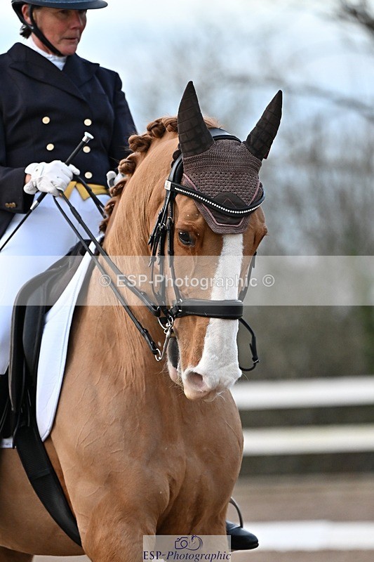 241214-153150-03285 - 109-Katharine.Lewis-Albertho.B