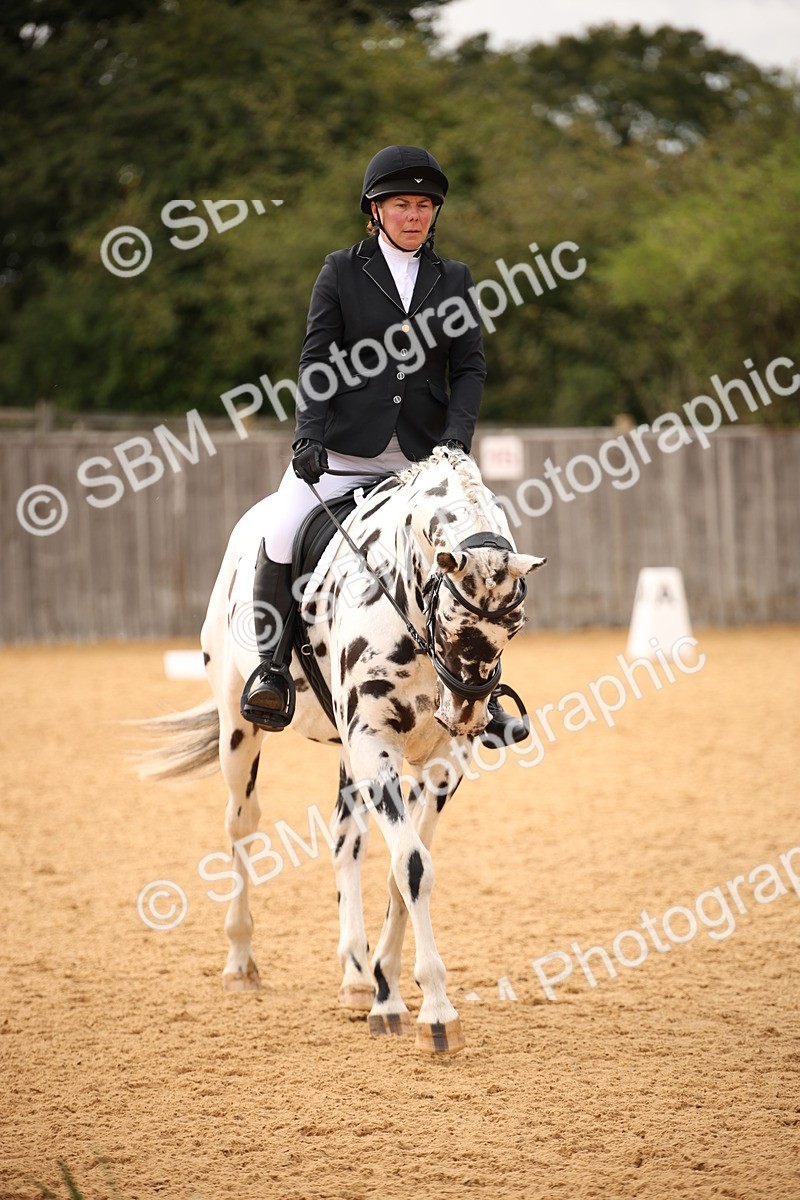 SBM_12294 - D3 Small  Tour Championship Intro A