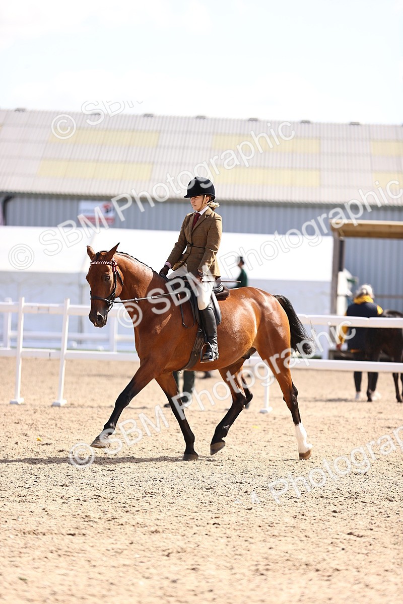 SBM_12973 - Class 410 - Grassroots Ridden - Horse