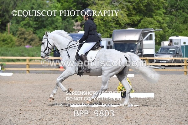 BPP_9803 - ELEM 6 UNAFF