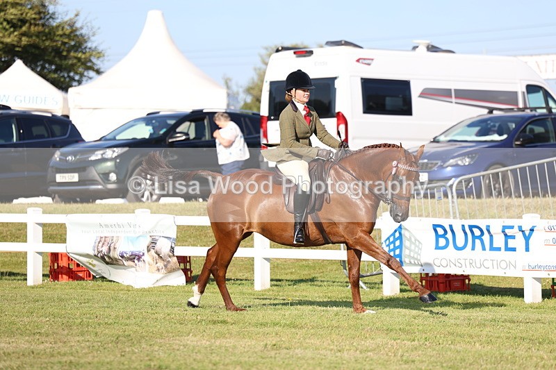 3E7A5079 - Class 1: Rising Star Small Hack/Riding Horses