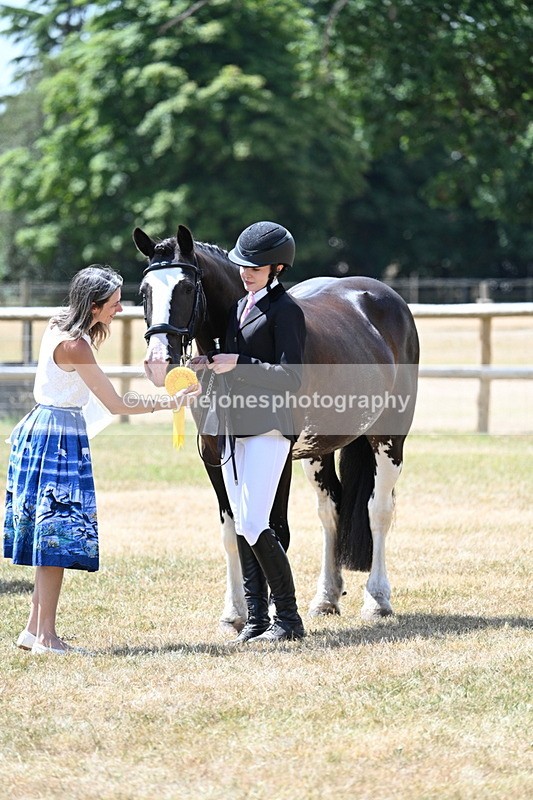 WJ7_2043 - Class 4a Prettiest Mare 14.2hh and over hand