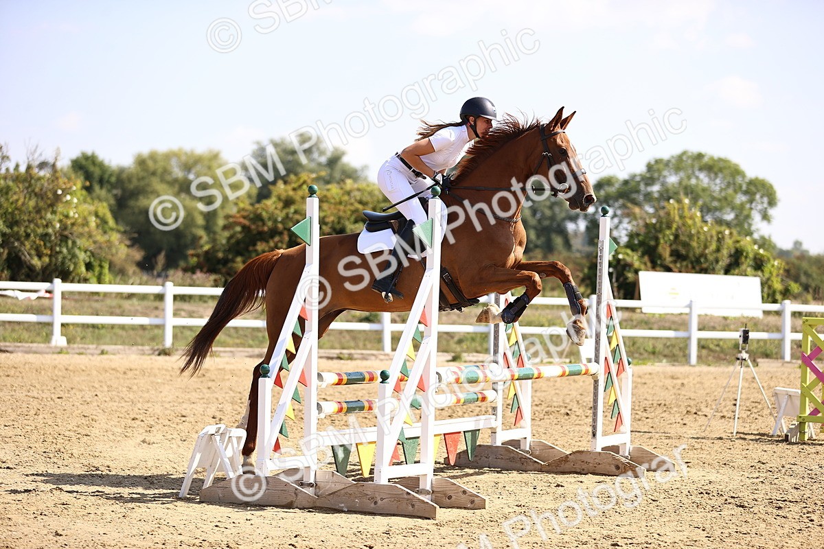 SBM_005805 - Class 9 - Senior British Novice - 90cm