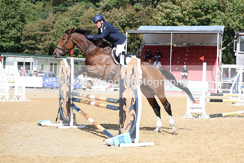 3E7A9389 - Class 9: Senior British Novice/90cm open