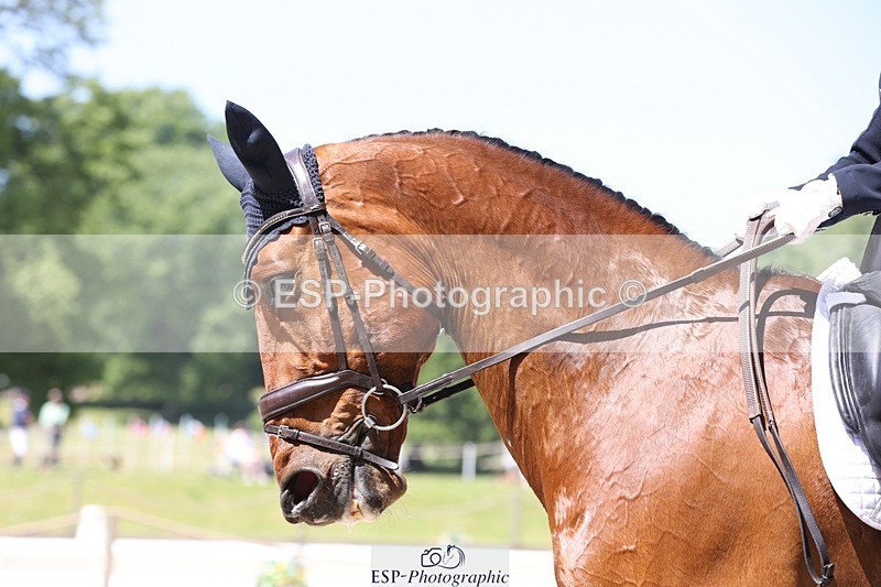 230526-123850-06223 - 161-HEADS_UP-Jemima_Howden-WEDTrotUp+DR