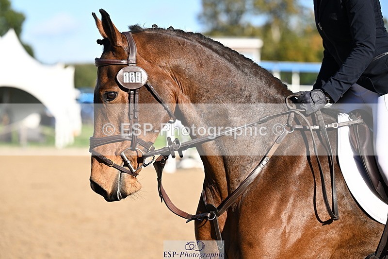 251024A-111547-06754 - B-166-Olivia.Fisher