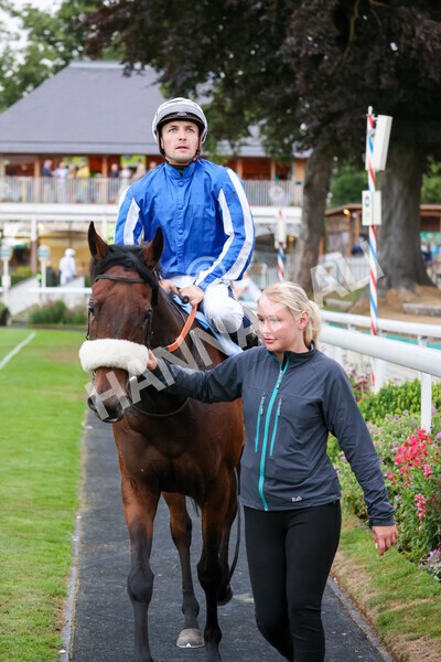yr22072022r7-44 - Race 7 8.25pm The Sky Bet Go-Racing-In-Yorkshire Summer Festival Stakes