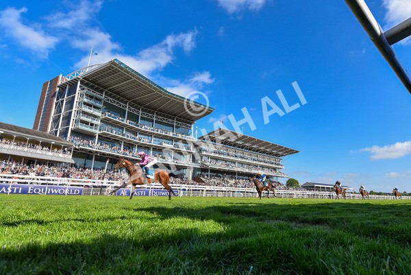 160525-Race 6-Bowmark-2781 - Race 6 4.55pm Darley EBF 'Confined' Novice Stakes