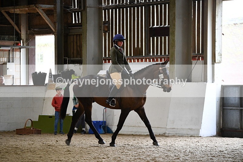 WJ5_7983 - Class 13 Ridden Part Breed