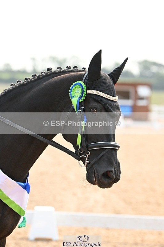 250816-142551-05537 - Saturday 2.30pm Presentations