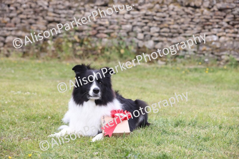 20250607-0256 - Class 5 - Trick and Treat