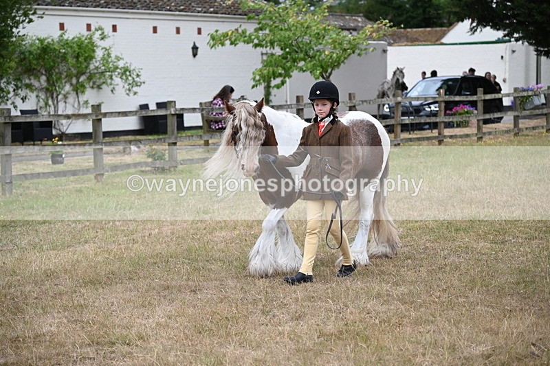 WJ6_8033 - Class 10 Coloured in Hand
