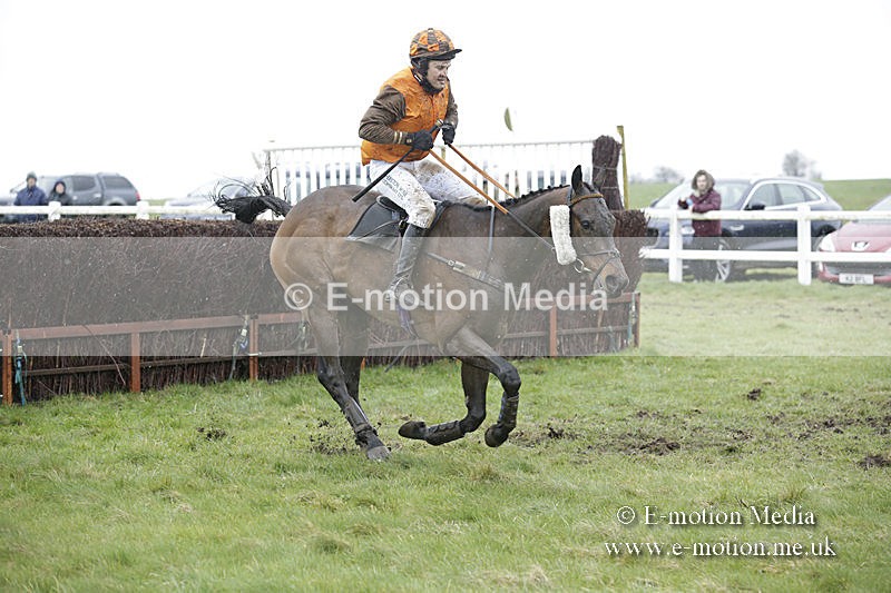 PtP 150320 0342 - New Forest Point-to-Point Larkhill 15/03/20