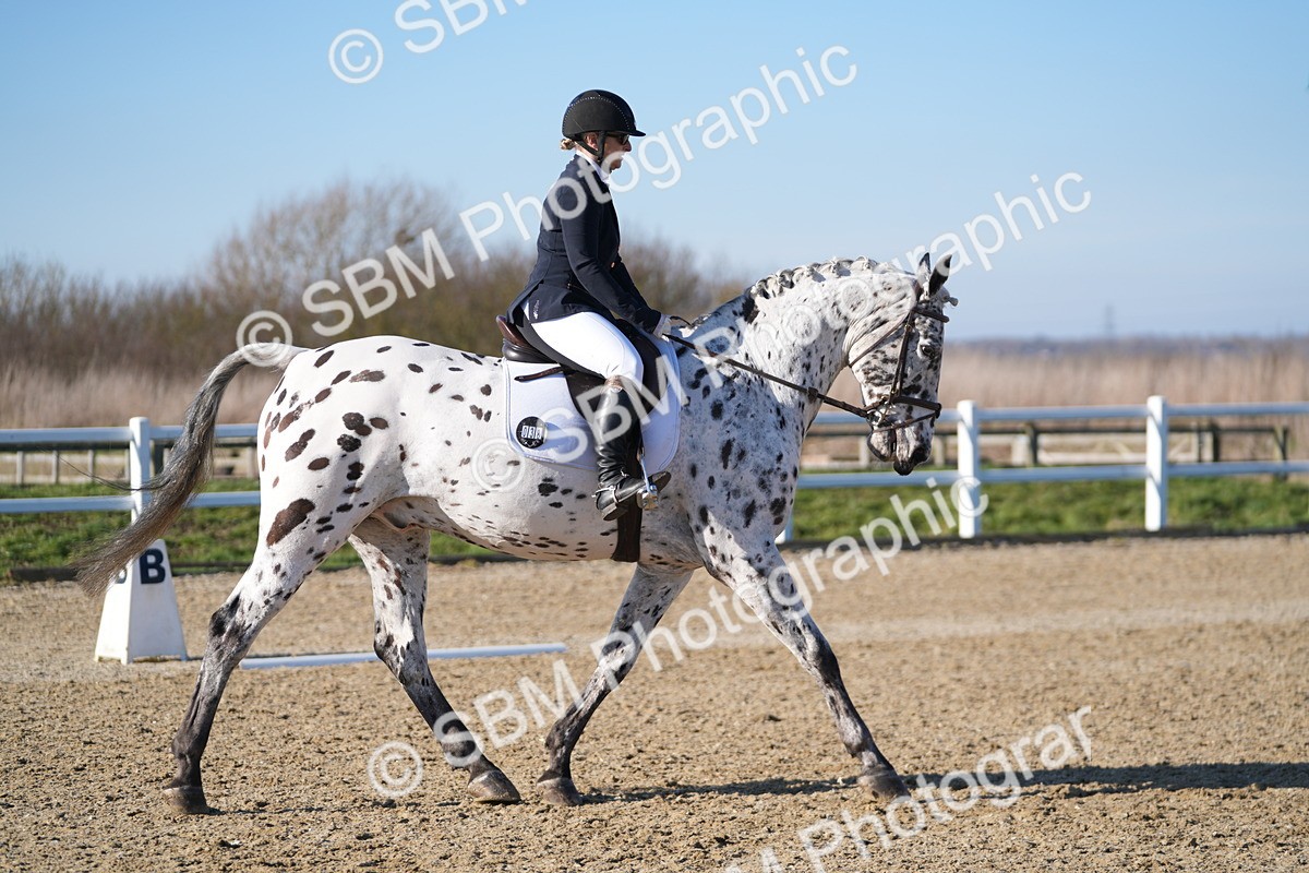 SBM_004241 - Class 3 - P2-80cm - E1