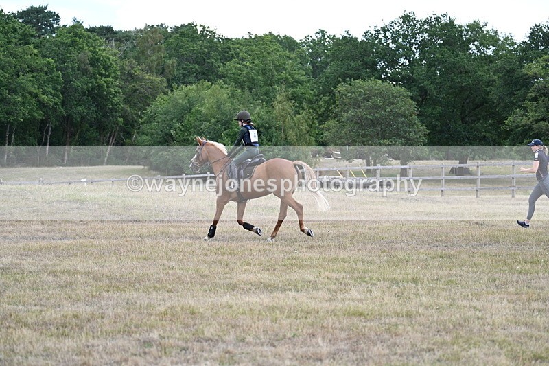 WJ7_1679 - 60cm Time 13:20 to 14:27