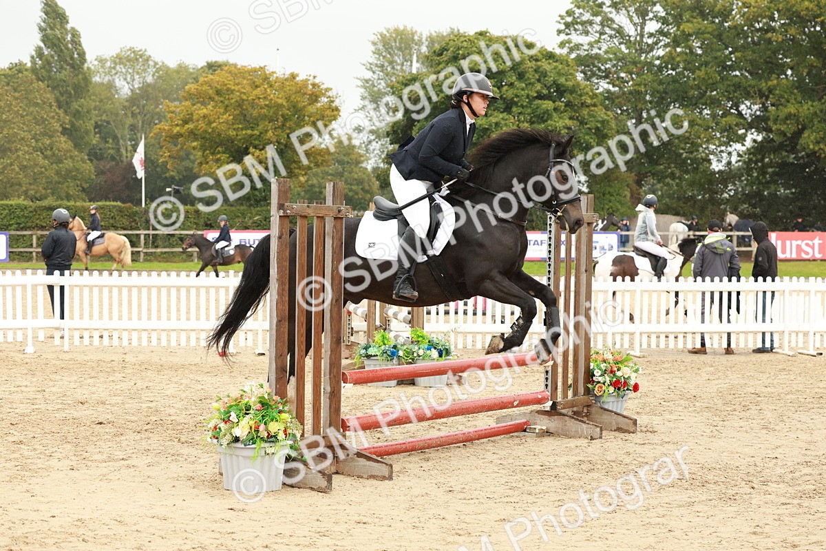 SBM_71126 - J14 - Junior Pony 65cm Championship