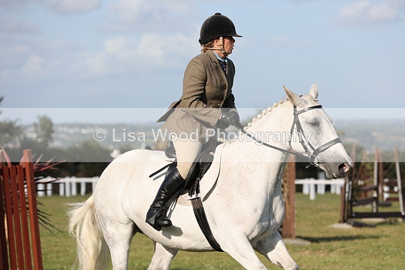 JPP_3372 - Class 22: Working Hunter 90cm