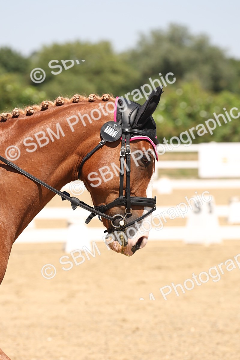 SBM_005017 - Prelim 4 - 13.34-15.39
