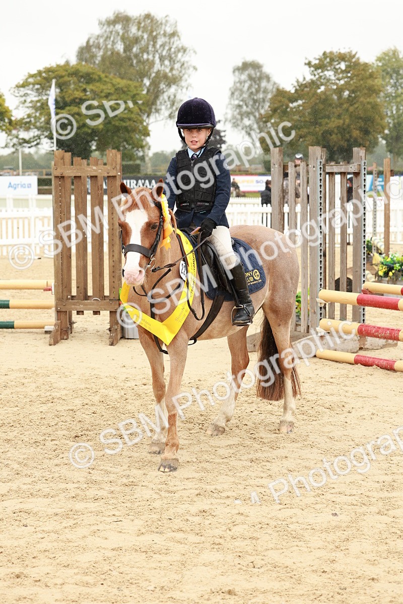 SBM_69389 - J13 - Junior Pony 60cm Championship