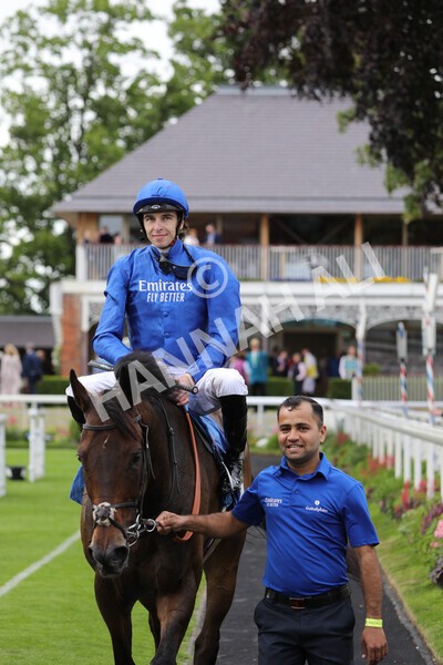 yr11062022r7-23 - Race 7 4.50pm The Ice Co Supporting Macmillan Stakes