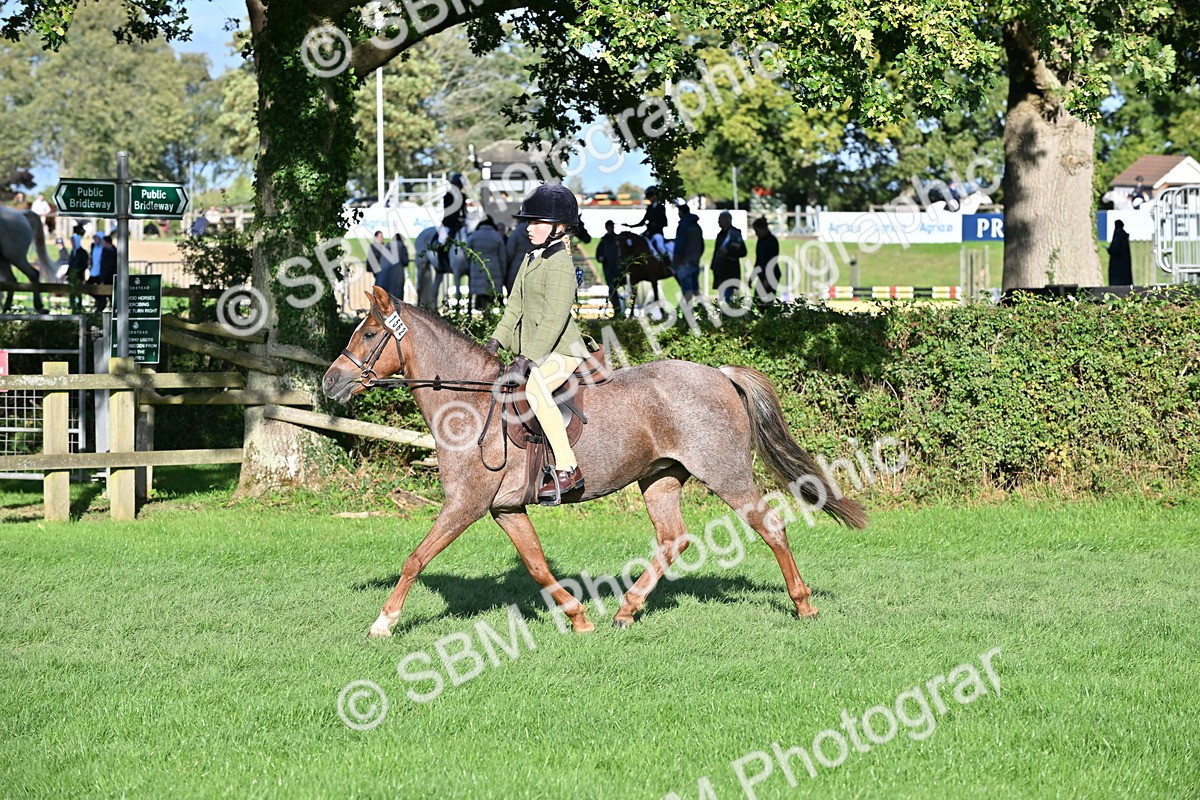 SBM_53003 - S23 - First Ridden Mountain & Moorland Pony
