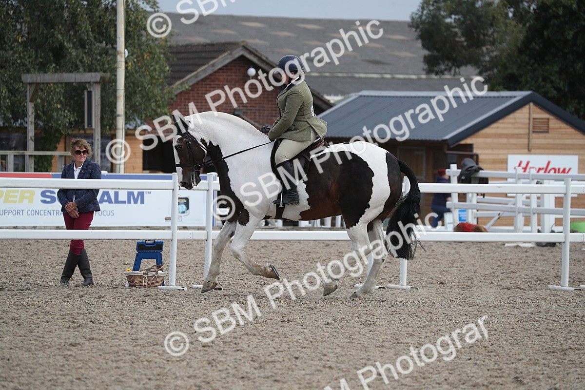 SBM_17369 - Class 315 Best Horse/Rider Combination
