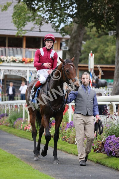 yr24092021r5-34 - Race 5 3.50pm William Hill Leading On Course Bookmaker Stakes