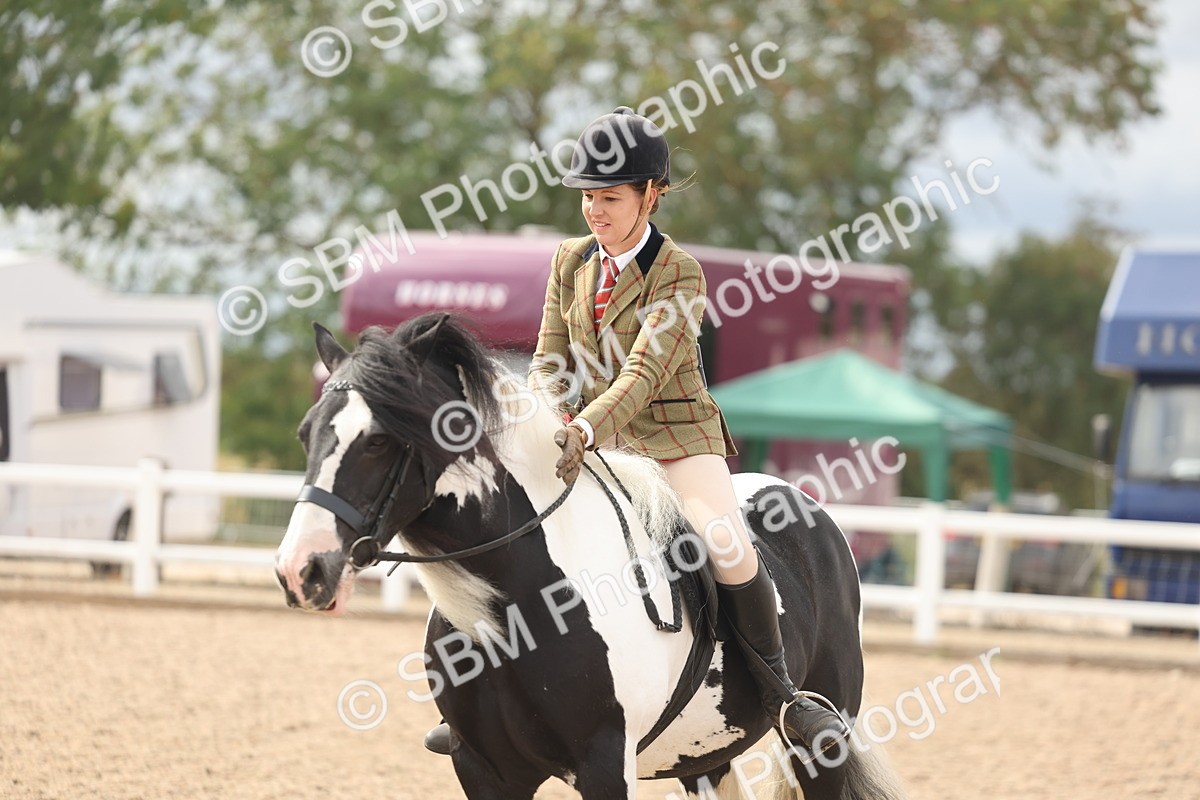 SBM_18055 - Class 314 - Family Horse Pony