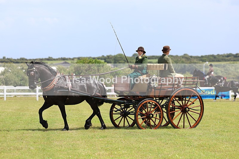 3E7A2725 - Class 12: Open Driving