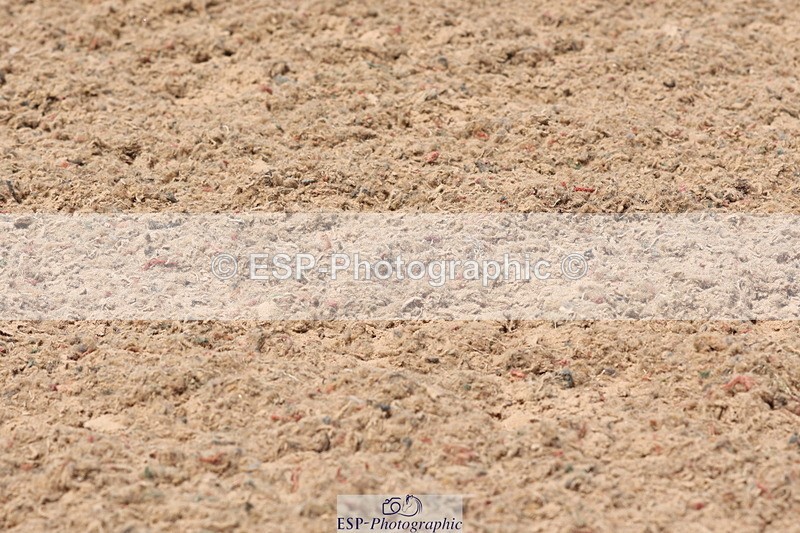 240622A-133319-11024 - Cls 30 BD Elementary 53