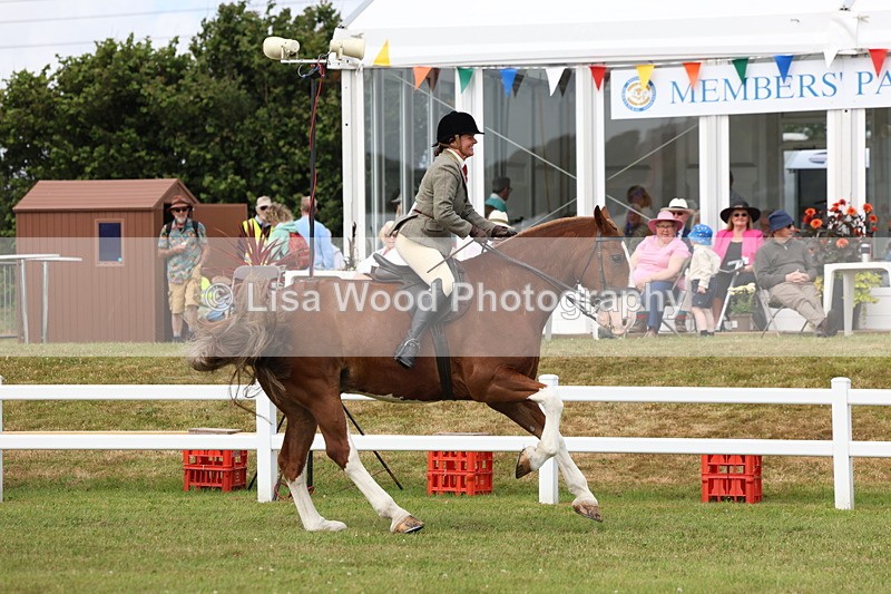 3E7A0301 - Class 6: Rising Star Maxi Cobs