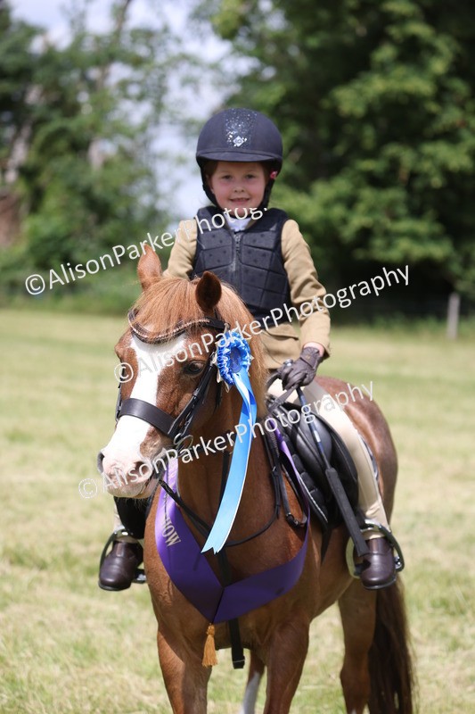 20260614-2138 - Class 21 - Novice Working Hunter Pony